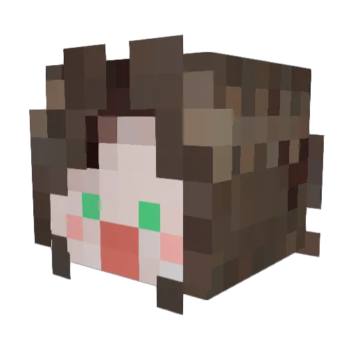 _DreamCrazy_ Minecraft avatar head, 3D render