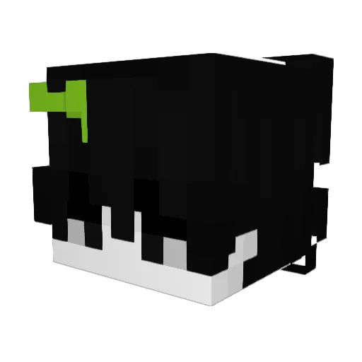 _DreamerS_ Minecraft avatar head, 3D render