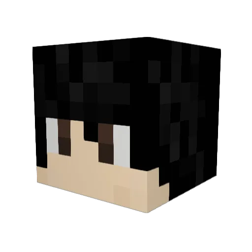 _Drixan_ Minecraft avatar head, 3D render