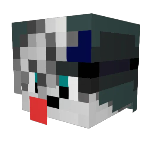 _Dsparil_ Minecraft avatar head, 3D render
