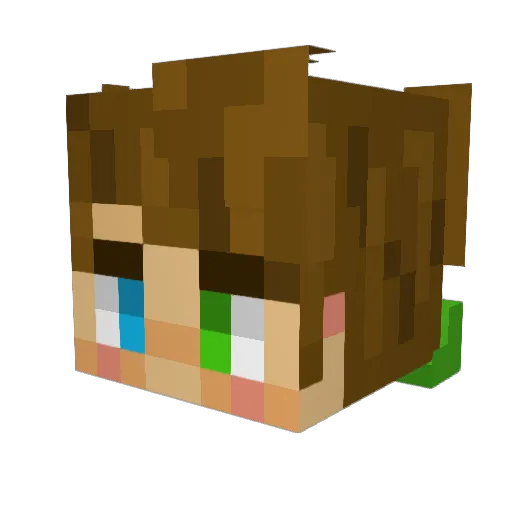 _Dudek__ Minecraft avatar head, 3D render