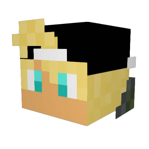 _DuduBR Minecraft avatar head, 3D render