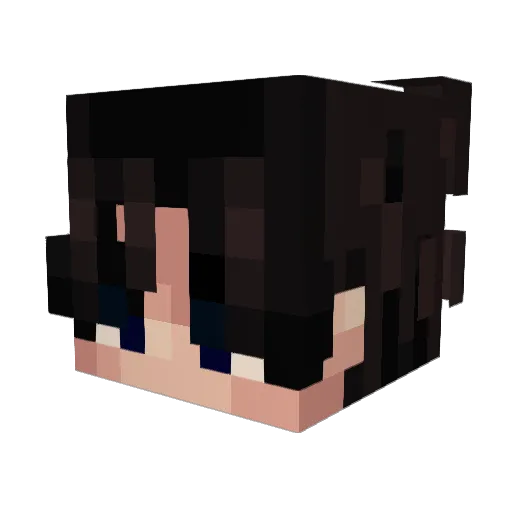 _Duffy_Duck_ Minecraft avatar head, 3D render