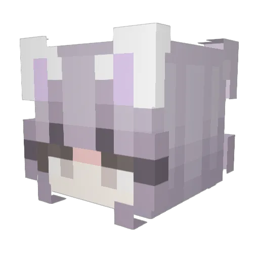 _DuluEe Minecraft avatar head, 3D render