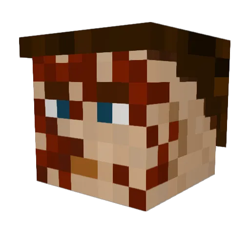 _Dunkin Minecraft avatar head, 3D render