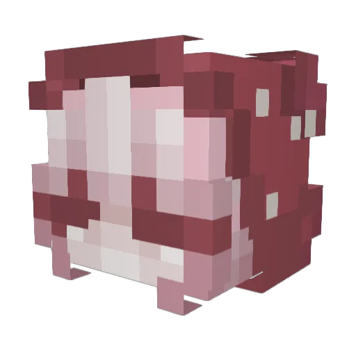 _Dunmore_ Minecraft avatar head, 3D render