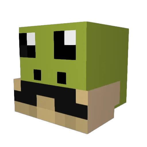 _ELFroa_kie_ Minecraft avatar head, 3D render