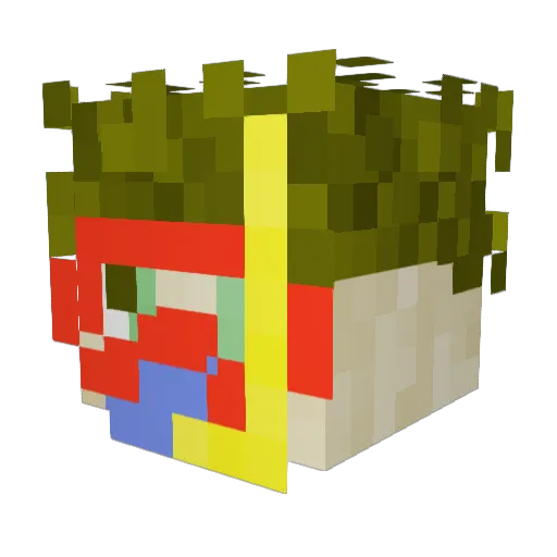 _ENTOMO_ Minecraft avatar head, 3D render