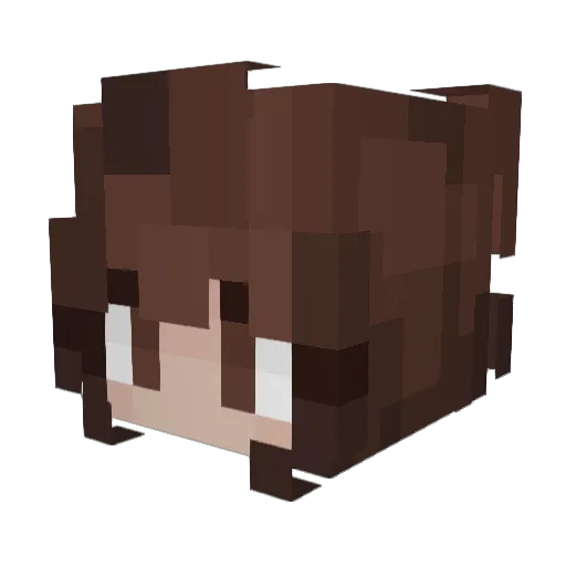 _EXiT__ Minecraft avatar head, 3D render