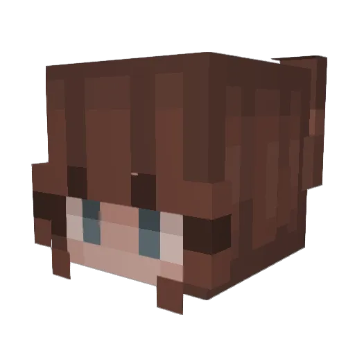 _E_m_i_ Minecraft avatar head, 3D render