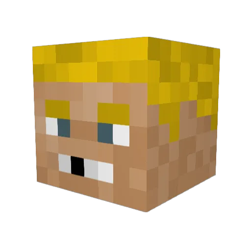 _EchoClient_ Minecraft avatar head, 3D render