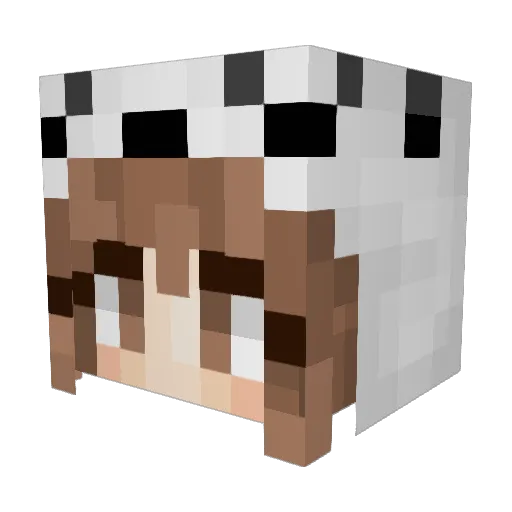_EightZero_ Minecraft avatar head, 3D render