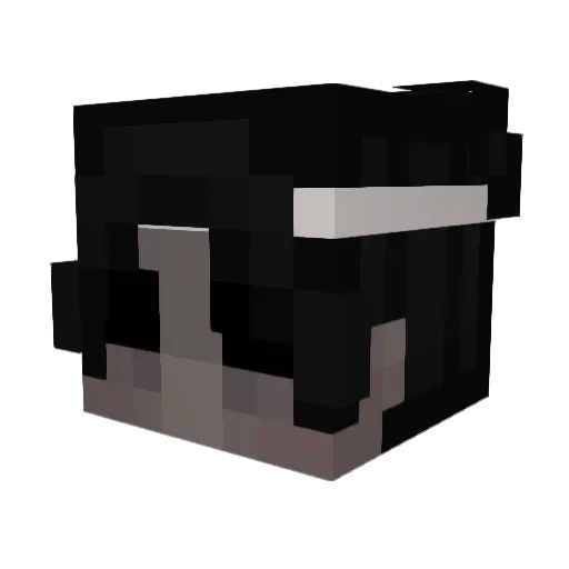 _EisKaffee Minecraft avatar head, 3D render