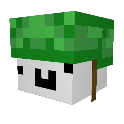 _ElegantTurtle Minecraft avatar head, 3D render