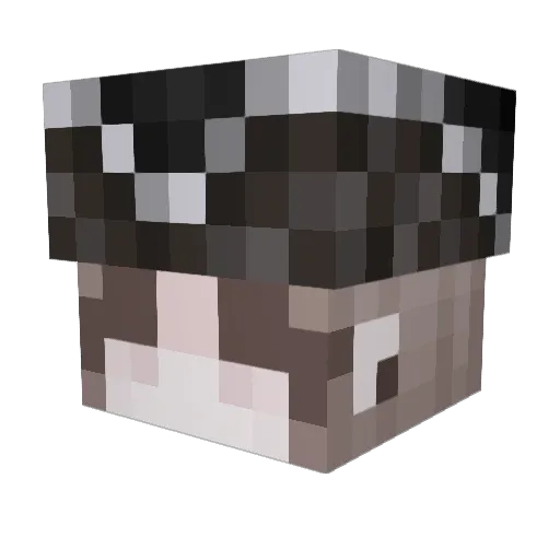 _Ellen_Baker_ Minecraft avatar head, 3D render