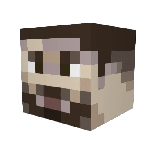 _ElonMosque_ Minecraft avatar head, 3D render