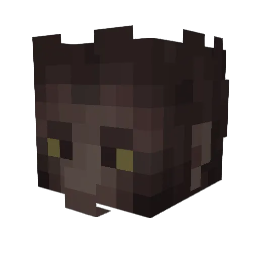 _Elven Minecraft avatar head, 3D render