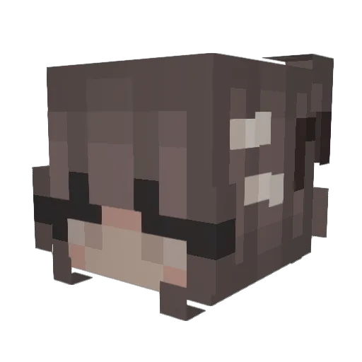 _Emii Minecraft avatar head, 3D render