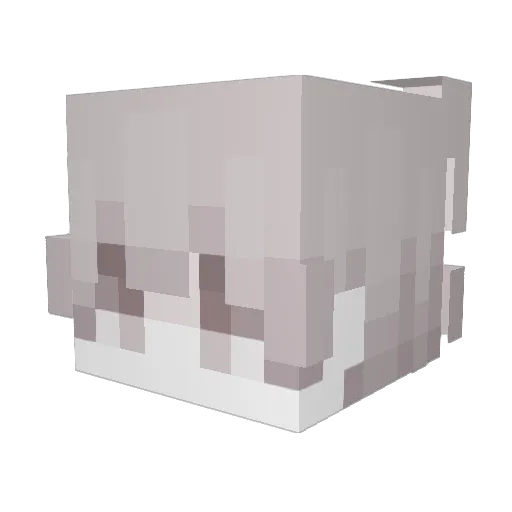 _Emmqnuel Minecraft avatar head, 3D render