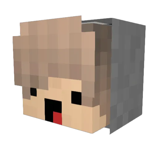 _EnderNy Minecraft avatar head, 3D render