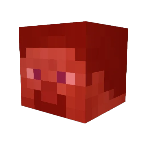 _EndorsToi Minecraft avatar head, 3D render