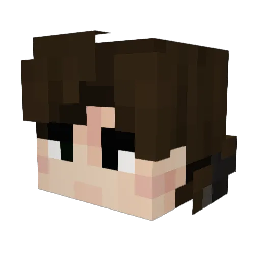 _Enlightened_ Minecraft avatar head, 3D render