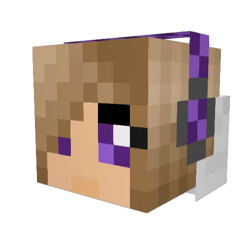 _Enslin_ Minecraft avatar head, 3D render