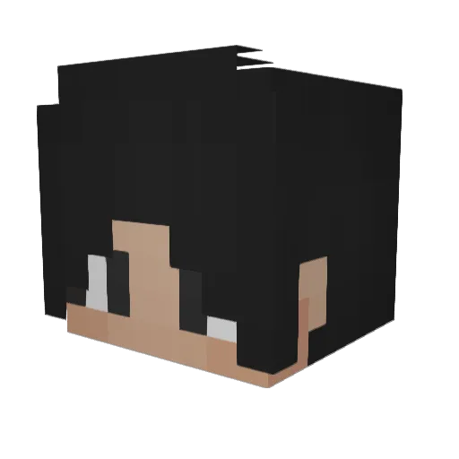 _Enty_ Minecraft avatar head, 3D render