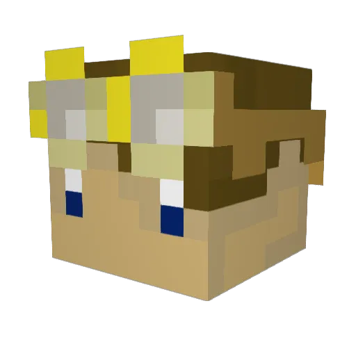 _EpicChicken Minecraft avatar head, 3D render