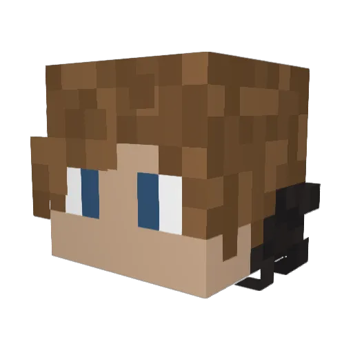 _Erere Minecraft avatar head, 3D render