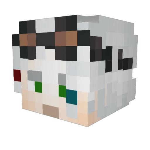_Esaau Minecraft avatar head, 3D render