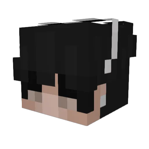 _Eternally Minecraft avatar head, 3D render