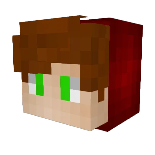 _Evolx_ Minecraft avatar head, 3D render
