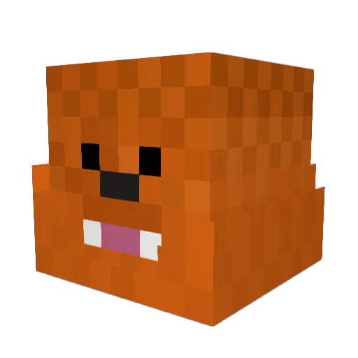 _F0Ka1 Minecraft avatar head, 3D render