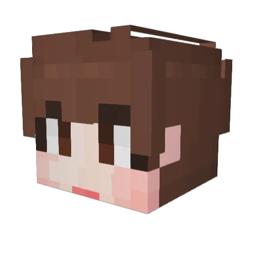 _F1NNY_ Minecraft avatar head, 3D render