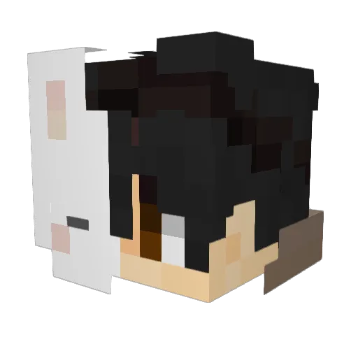 _F1shy__ Minecraft avatar head, 3D render