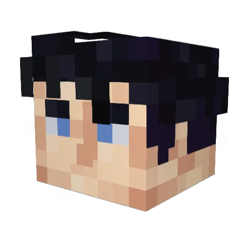 _F3mT0_ Minecraft avatar head, 3D render