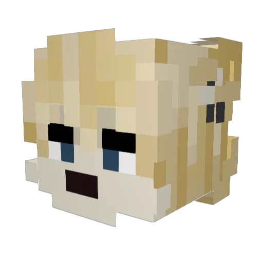 _FBI Minecraft avatar head, 3D render