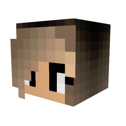 _FH Minecraft avatar head, 3D render