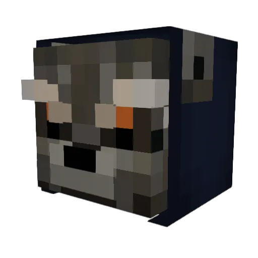 _FKN_ Minecraft avatar head, 3D render
