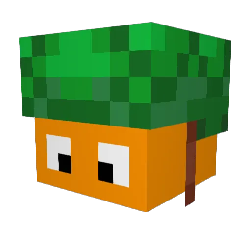 _FL0RlAN_ Minecraft avatar head, 3D render