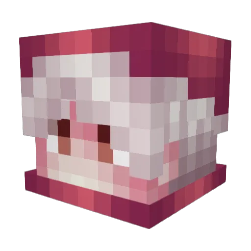 _FLAYM_ Minecraft avatar head, 3D render