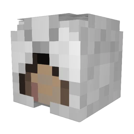 _FMA Minecraft avatar head, 3D render