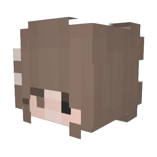 _FRENDZONA_ Minecraft avatar head, 3D render