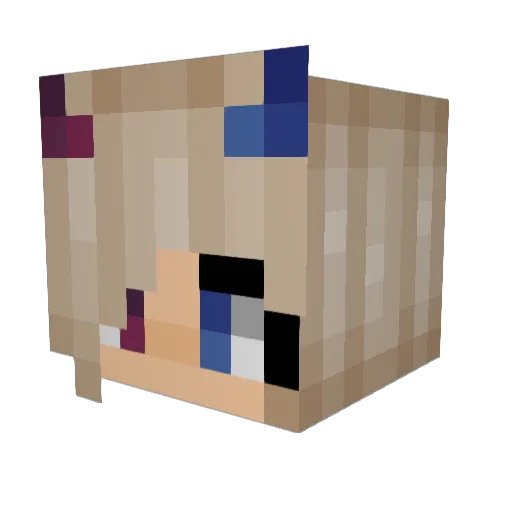 _F_A_R Minecraft avatar head, 3D render