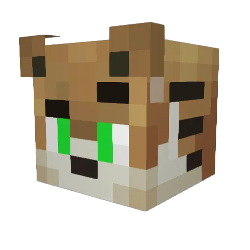 _Fabian_1999 Minecraft avatar head, 3D render