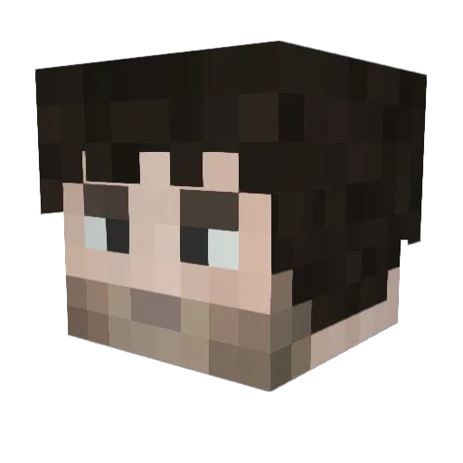 _Fafi Minecraft avatar head, 3D render