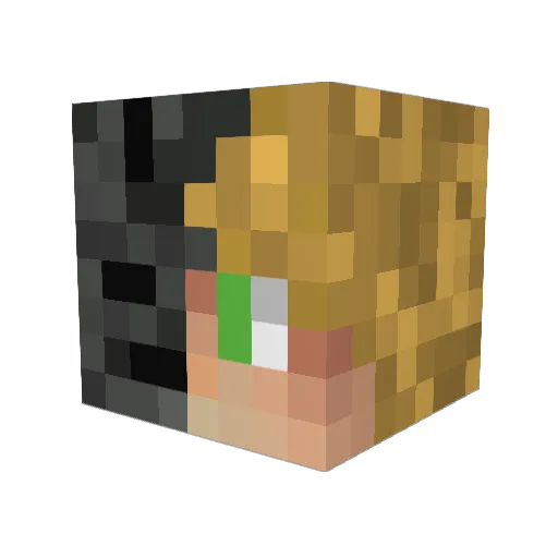 _Fakezinho_ Minecraft avatar head, 3D render