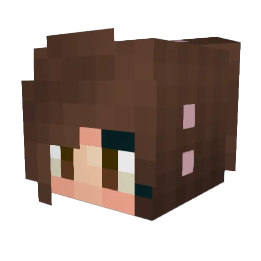 _Favi Minecraft avatar head, 3D render