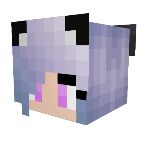 _Feila_ Minecraft avatar head, 3D render